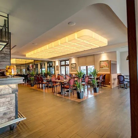 Figa Hotel Plewiska