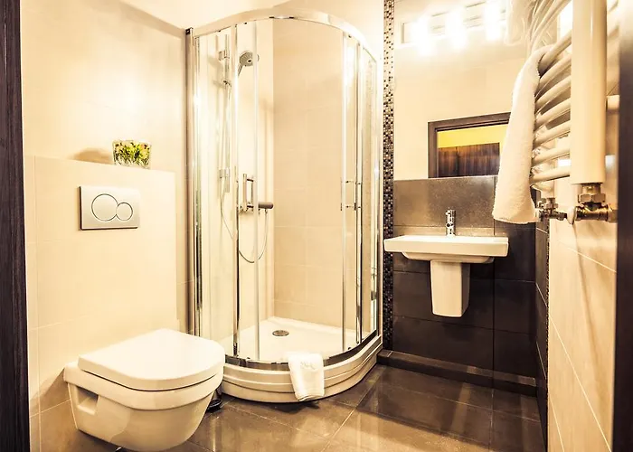 Отель Figa Plewiska